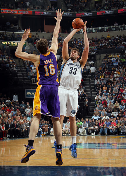 毕竟在强敌 毕竟在强敌